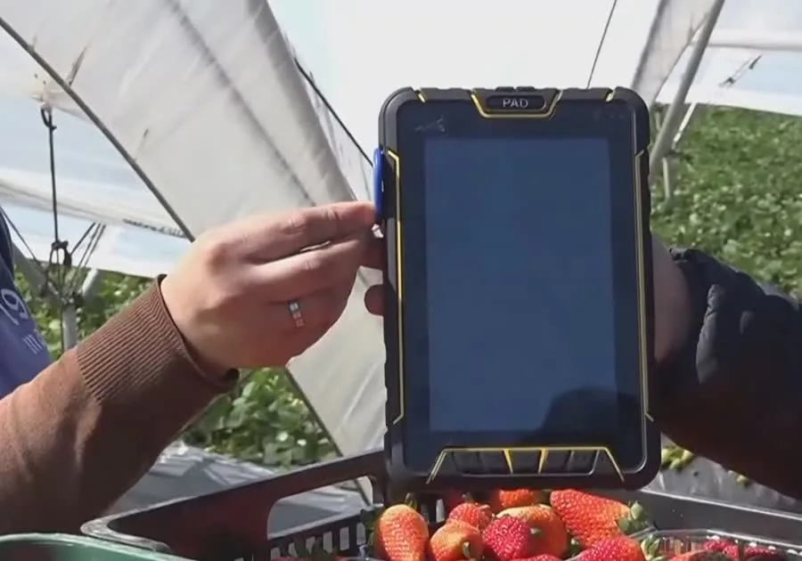 Una trabajadora registra una caja en la tablet de Recodat
